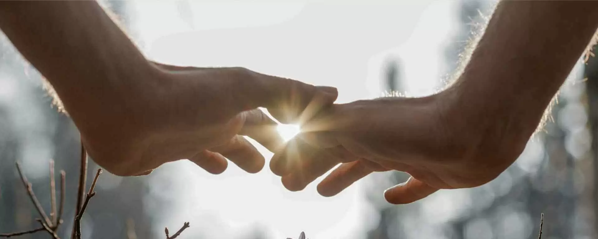 Reiki 1 with Inge – group starting June 12, 2024 Reiki 1 with Inge – group starting June 12, 2024